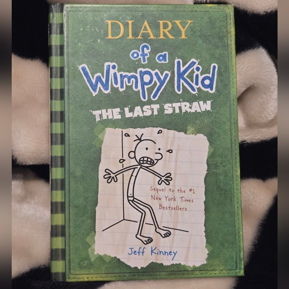 Diary of a Wimpy Kid #3
